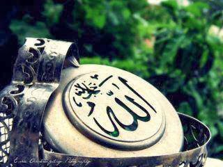 “ Cenâb-ı Allah, en son kitâbına
hayran kaldım. ”