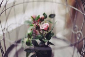 Kimseye bir şey yaptıramazsın;
Seni düşünen senin için yapar..