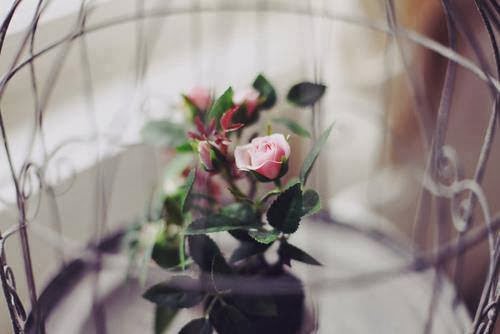 Kimseye bir şey yaptıramazsın;
Seni düşünen senin için yapar..
-Reşat Öztoprak