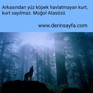 Arkasından yüz köpek havlatmayan kurt, kurt sayılmaz.  Moğol Atasözü