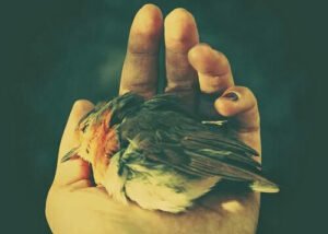 . . Ve insan ;
Sadece ölümle kaybetmez
S e v d i k l e r i n i . .