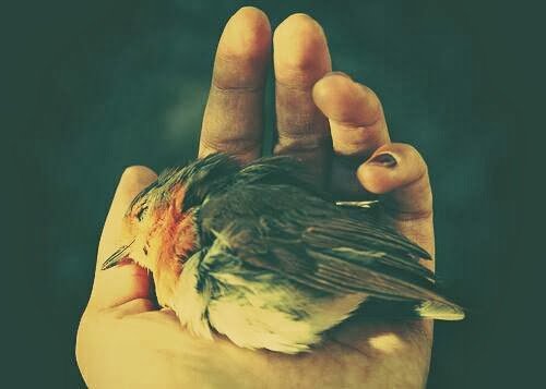 . . Ve insan ;
Sadece ölümle kaybetmez
S e v d i k l e r i n i . .