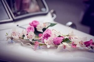 “Nasip” Tılsımlı kelime, muazzam hakikat. Ne güzel ne kadar güzel, nâsip… Nasibin farkında olmak, o da ayrı bir nasip… Serdar Tuncer