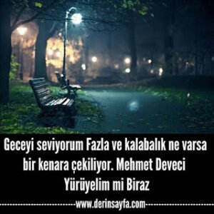 “Geceyi seviyorum. Fazla ve kalabalık olan ne varsa bir kenara çekiliyor sanki.”  Mehmet Deveci