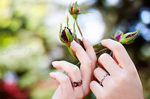 “ Aramızdaki mesâfenin adıdır nâsip.
Herkes birbirine nâsibi kadar uzak…”