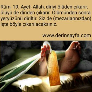 Rûm, 19. Ayet: Allah, diriyi ölüden çıkarır, ölüyü de diriden çıkarır. Ölümünden sonra yeryüzünü diriltir.