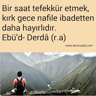 Bir saat tefekkür etmek, kırk gece nafile ibadetten daha hayırlıdır. Ebü’d