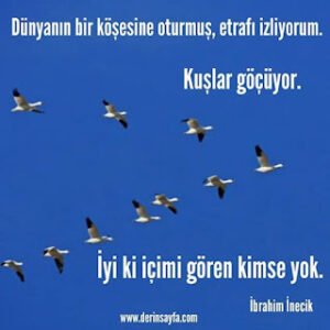 Dünyanın bir köşesine oturmuş, etrafı izliyorum. Kuşlar göçüyor. İyi ki içimi gören kimse yok. İbrahim İnecik