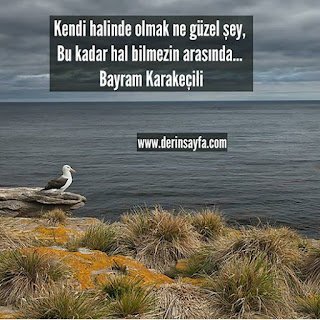 Kendi halinde olmak ne güzel şey, Bu kadar hal bilmezin arasında… Bayram Karakeçili