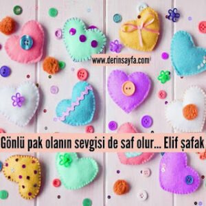 Gönlü pak olanın sevgisi de saf olur… Elif Şafak