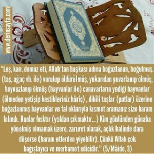 Leş, kan, domuz eti, Allah’tan başkası adına boğazlanan, boğulmuş.. size haram kılındı. (5