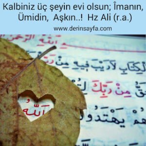Kalbiniz üç şeyin evi olsun; Îmanın, Ümidin, Aşkın..!  Hz Ali (r.a.)