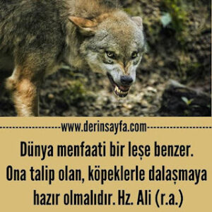 Dünya menfaati bir leşe benzer. Ona talip olan, köpeklerle dalaşmaya hazır olmalıdır. Hz. Ali (r.a.)