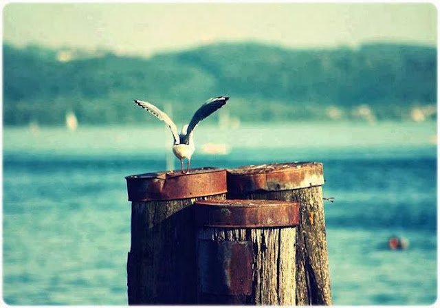 “ Samimi olmak en güzel kerâmettir.”
– Ah Muhsin Ünlü