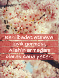 Seni ibadet etmeye layık görmesi,
Allahın armağanı olarak sana
yeter…”