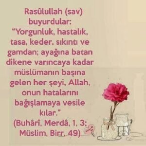 "… müslümanın başına gelenher şeyi ALLAH, onun hatalarınıbağışlamaya vesile kılar.”