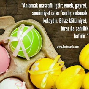 “Anlamak masraflı iştir; emek, gayret, samimiyet ister. Yanlış anlamak kolaydır. Biraz kötü niyet, biraz da cahillik kâfidir.”