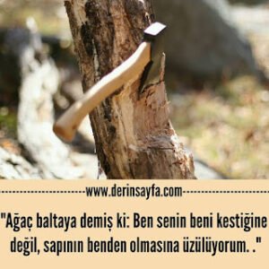 “Ağaç baltaya demiş ki: Ben senin beni kestiğine değil, sapının benden olmasına üzülüyorum..”