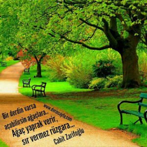 Bir derdin varsa açabilirsin ağaçlara.. Ağaç yaprak verir, sır vermez rüzgara… Cahit Zarifoğlu