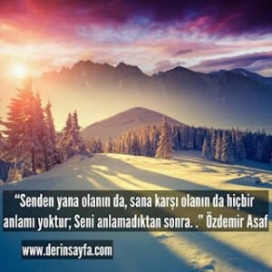 “Senden yana olanın da, sana karşı olanın da hiçbir anlamı yoktur; Seni anlamadıktan sonra. .” Özdemir Asaf