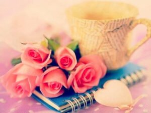 Başlangıçta sevemediğimizi zamanla
seveceğimizi düşünürüz…Ali Ayçil