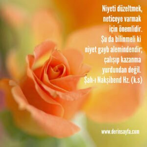 Niyeti düzeltmek,neticeye varmak için önemlidir.Şu da bilinmeli ki niyet gayb aleminden.. Şah