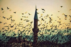 '' ince sevenler var bi de hafız !
tek bir bakış için günlerce Rabbe
yalvaran…''