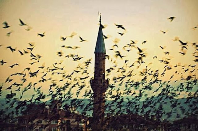 '' ince sevenler var bi de hafız !
tek bir bakış için günlerce Rabbe
yalvaran…''