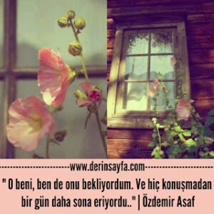 ” O beni, ben de onu bekliyordum. Ve hiç konuşmadan bir gün daha sona eriyordu..”