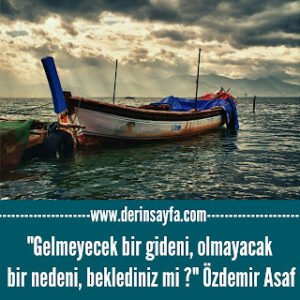 “Gelmeyecek bir gideni, olmayacak bir nedeni, beklediniz mi?” Özdemir Asaf