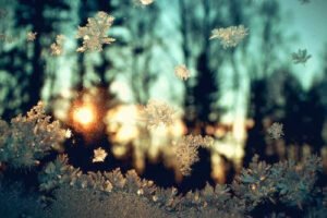 – Ve kar taneleri gibi yaşıyoruz şu
sıra,
Birbirimize değmeden ayrı ayrı
eriyerek. . .