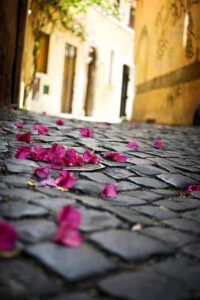 Bir gün birisi çıkar gelir ve sen bütün
gidenlere teşekkür edersin . . .