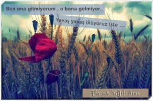 Ben ona gitmiyorum, o bana
gelmiyor …
Yavaş yavaş ölüyoruz işte …
