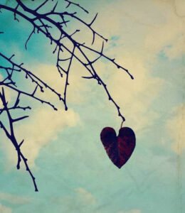 Sevgi, garip bir yangın.
Yaşaması için büyümesi gerek
…Cemil Meriç