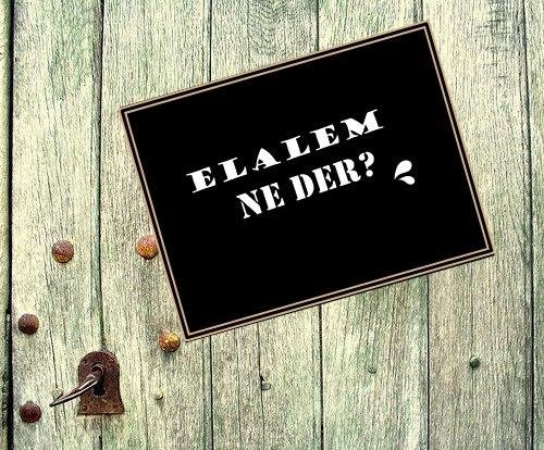 Elalem ne der kaygısıyla boğuşurken,
“Allâh ne der” kaygısına erişemedik. .