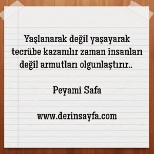 Yaşlanarak değil yaşayarak tecrübe kazanılır.. 

Peyami Safa