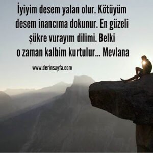 İyiyim desem yalan olur.Kötüyüm desem inancıma dokunur. En güzeli şükre vurayım dilimi. Mevlana