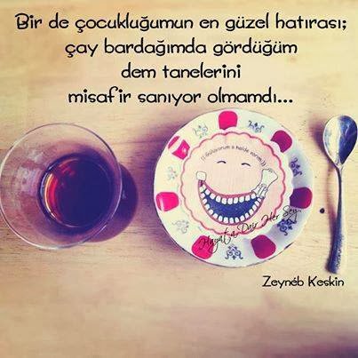 Çay bardağımda gördüğüm dem
tanelerini misafir sanıyor olmamdı… (: