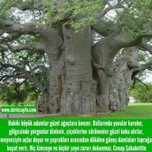 Cenap Şahabettin sözleri