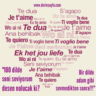 “100 dilde seni seviyorum desen nolucak ki? Bir dilde adam gibi sevmedikten sonra!!!”