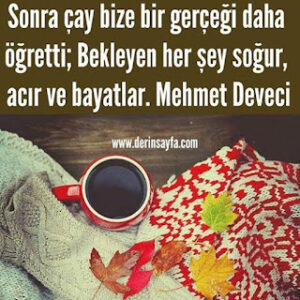 Sonra çay bize bir gerçeği daha öğretti; Bekleyen her şey soğur, acır ve bayatlar. Mehmet Deveci
