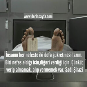 İnsanın her nefeste iki defa şükretmesi lazım. Biri nefes aldığı için,diğeri verdiği için.. Sadi Şirazi