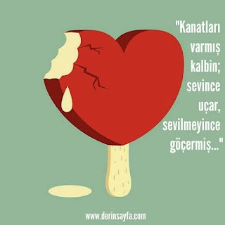 “Kanatları varmış kalbin; sevince uçar, sevilmeyince göçermiş…”