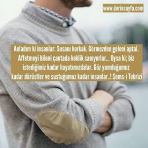 Anladım ki insanlar: Susanı korkak. Görmezden geleni aptal. Affetmeyi bileni çantada keklik