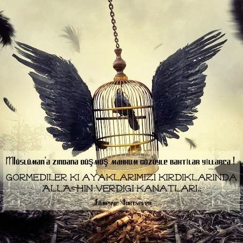 Müslüman'a zindana düşmüş mahkum
gözüyle baktılar yıllarca ! – Sümeyye Yurtsever
