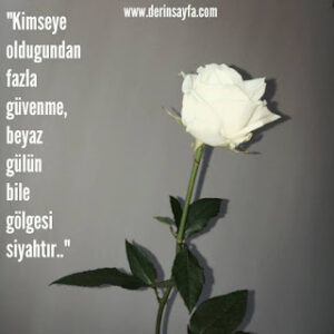 “Kimseye oldugundan fazla güvenme, beyaz gülün bile gölgesi siyahtır..”