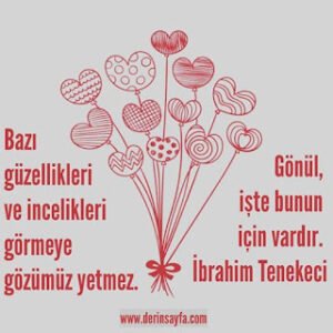 Bazı güzellikleri ve incelikleri görmeye gözümüz yetmez. Gönül, işte bunun için vardır. İbrahim Tenekeci