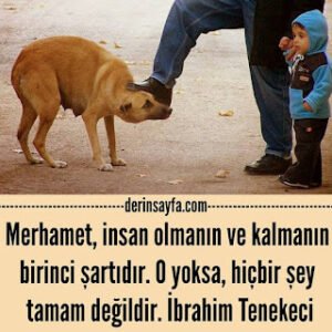 Merhamet, insan olmanın ve kalmanın birinci şartıdır. O yoksa, hiçbir şey tamam değildir. İbrahim Tenekeci