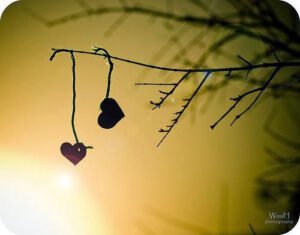 Sen” iyi ol da,
Rabbin sana lâyığını verir nasılsa.
Mehmet Deveci