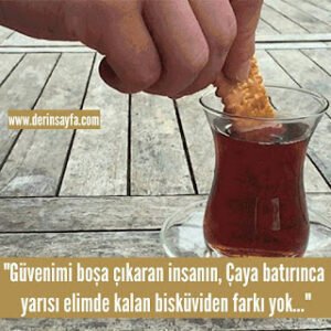 “Güvenimi boşa çıkaran insanın, çaya batırınca yarısı elimde kalan bisküviden farkı yok…”